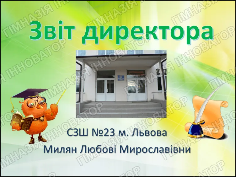 Звіт директора - 2013