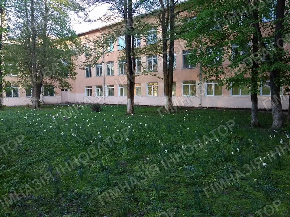 Долина нарцисів