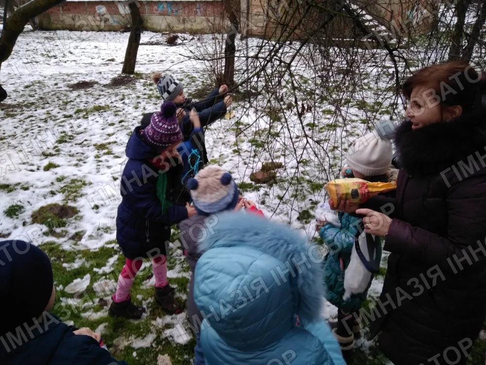 Порятуємо пташок взимку