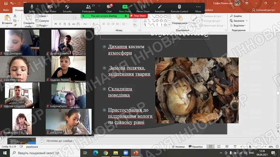 Цікава природа