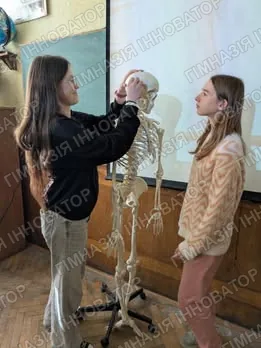 Будова скелета людини