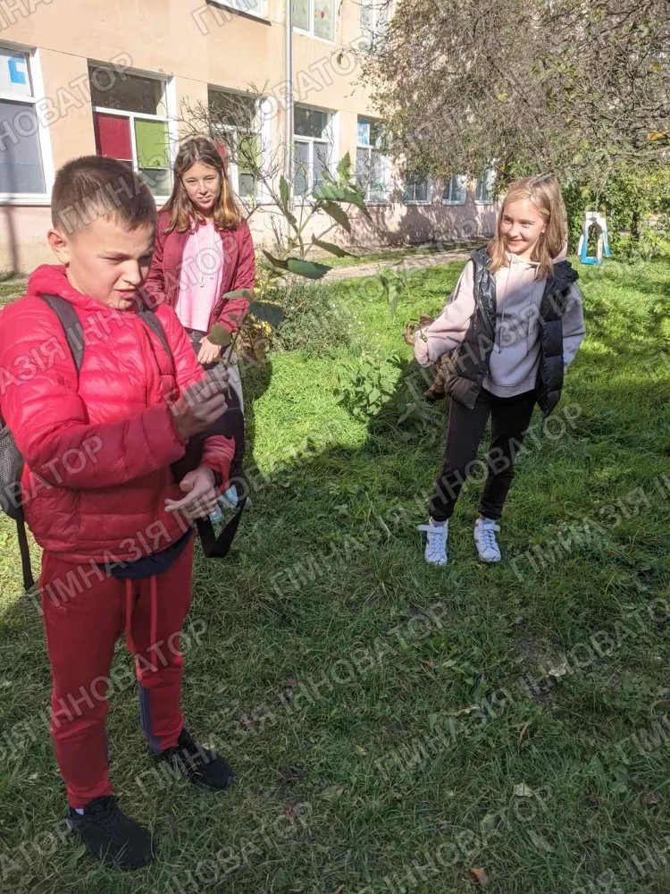 Пленерні уроки в дії
