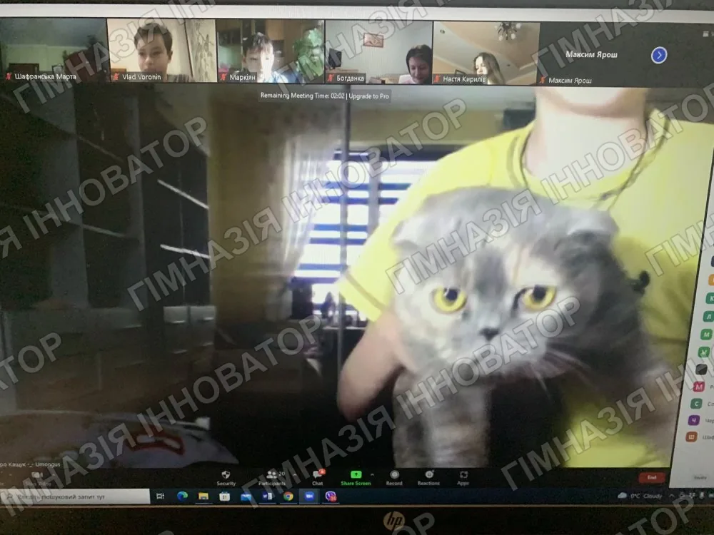 Котики-муркотики
