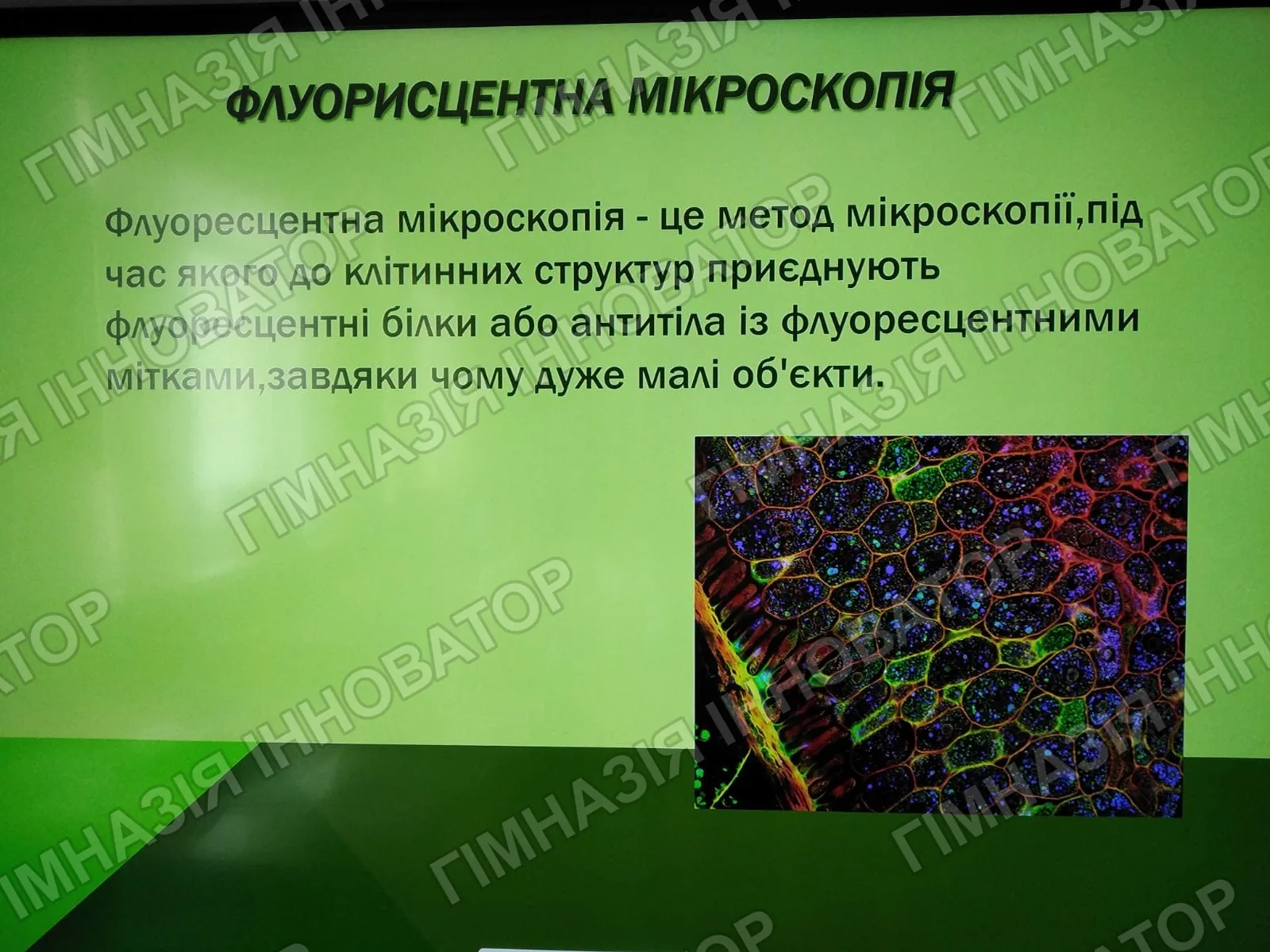 Світ цитологічних досліджень