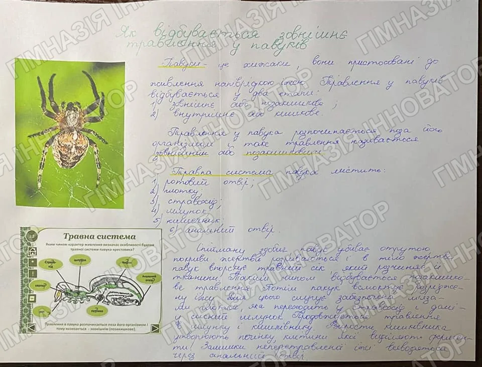 Травлення павуків