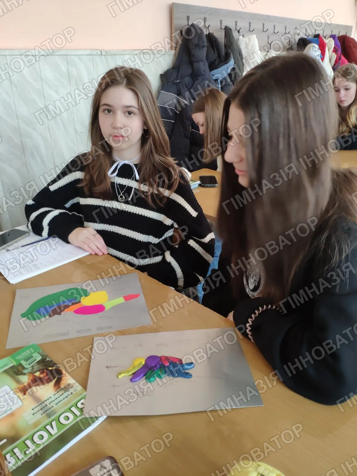 Вчимо будову головного мозку