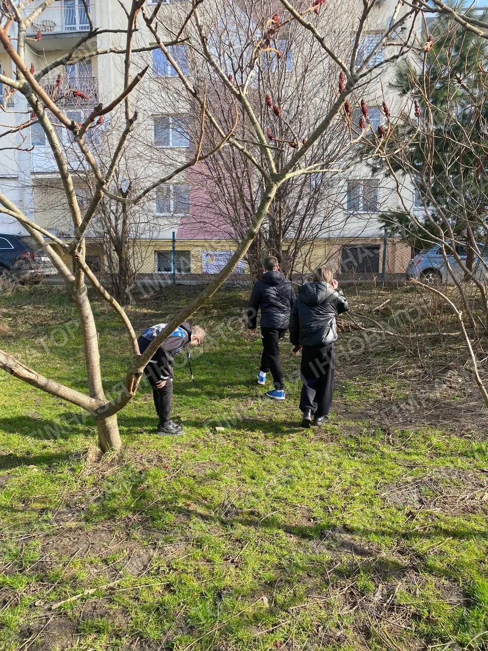 В пошуках комах