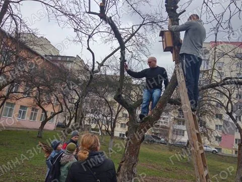 Толока в рамках проекту "Шкільна екосистема"